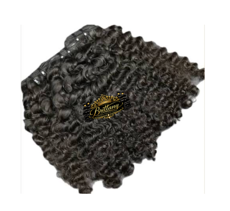 Burmese Curly